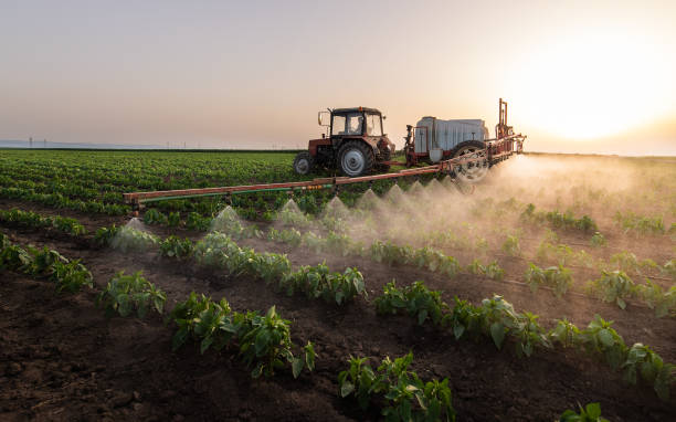 Professional Pest Control in Tyndall, SD